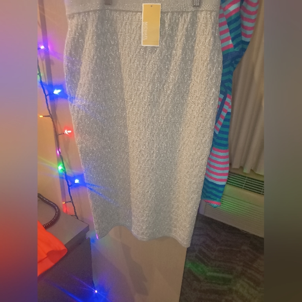 Silver Skirt